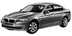 BMW F10 U257E Fault Code